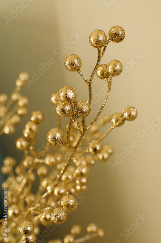 Macro photo of gold berries on twig, resembling fashion accessories or jewellery