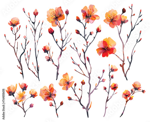 A set of vector watercolor flowers. Hand-painted. Illustration for scrapbook, label, poster, print, menu