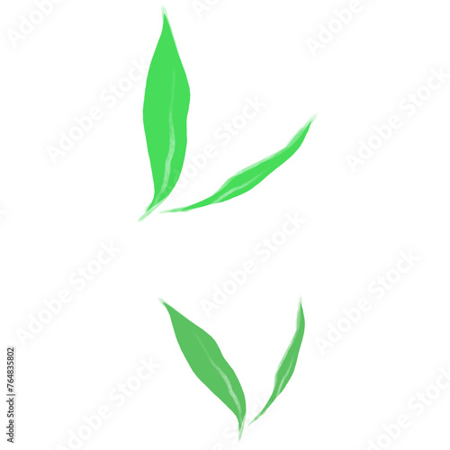 green leaves isolated on white background