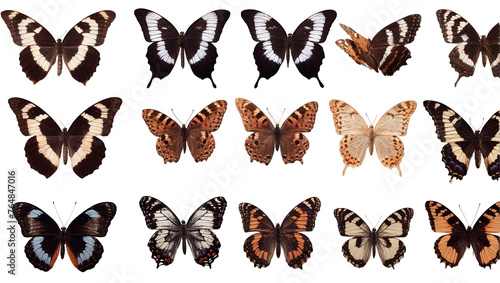 Collection of butterflies isolated on Transparent Background