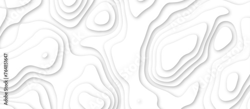 3d render, abstract white paper background. Paper cut vector art background banner texture. multi layer cutout geometric pattern on vector, Abstract soft white background with waves.