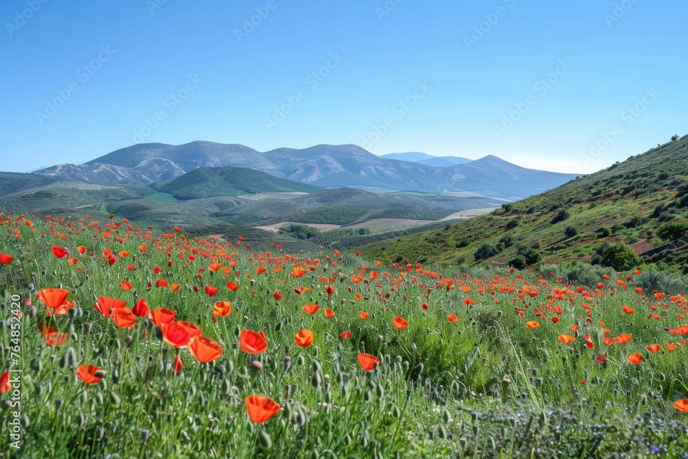 Field of poppies with mountain range in the background. Spring landscape concept. Beauty of nature. Design for wallpaper, banner. 