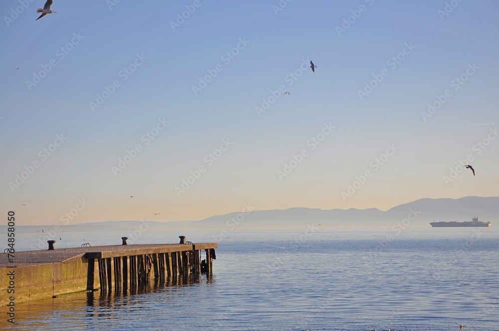 Wooden pier with view to blue sea and seagulls flying in background .View of the pier and the Cres island from the port of Baros with a flying seagull.Seagulls flying over sea