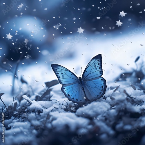 Blue butterfly sitting on the snow. Nature background. Toned.