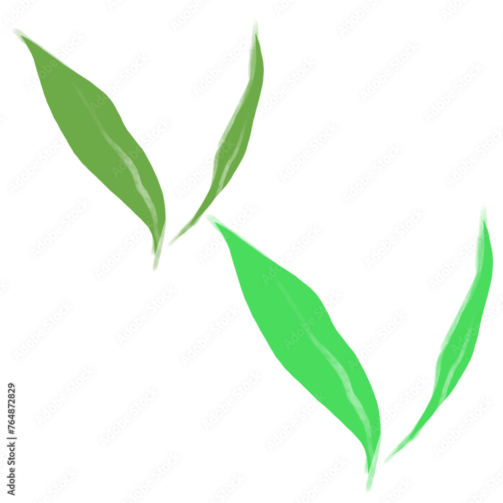 green leaves isolated on white background green leaves isolated on white background
