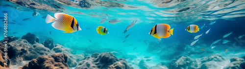 Underwater Scene with Tropical Fish and Coral Reefs in Crystal Clear Sea 
