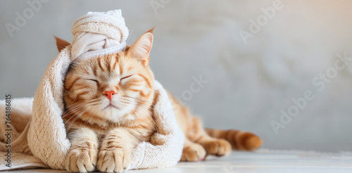 This delightful image captures a ginger cat wearing a towel head wrap, eyes closed in a seemingly blissful state, conveying a sense of leisure photo