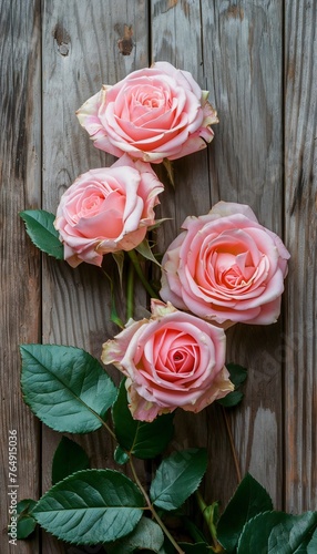 English Roses on Dark Wooden Background