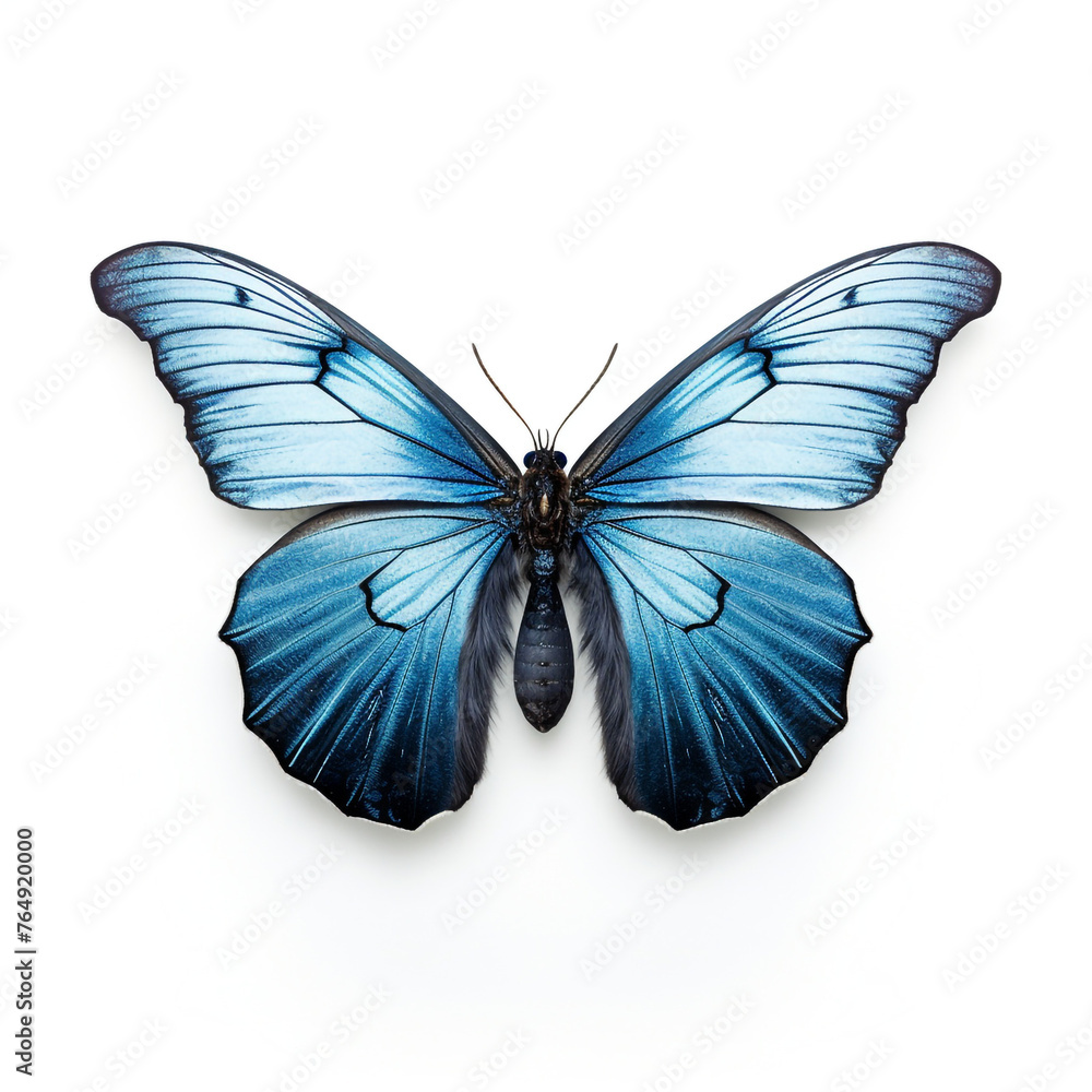 blue moth clipart on a white background сreated with Generative Ai blue moth clipart on a white background сreated with Generative Ai
