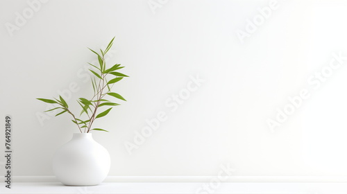 Minimalist indoor plant in white vases against a clean wall with sunlight, modern home decor.