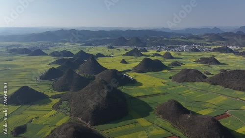 Aerial view of Golden Canola fields in Luoping, Yunnan, China photo