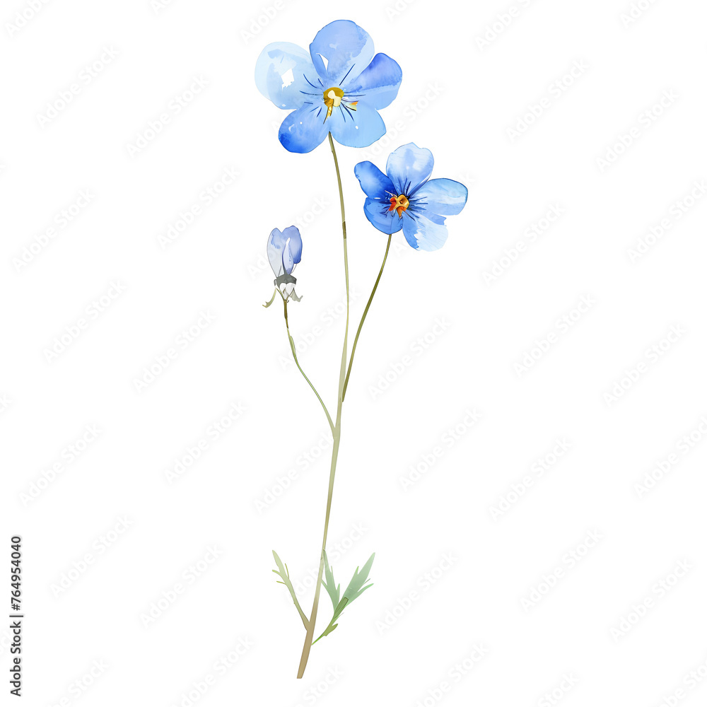 Obraz premium Wild flower watercolor clipart. 