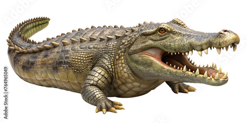 aggressive crocodile with open mouth and grungy skin and sinister look  © fikret