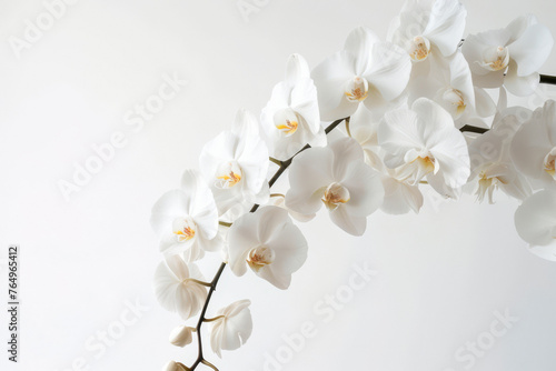 Black funeral ribbon and white orchids flowers on white background