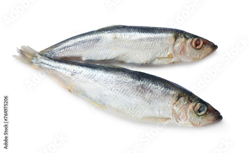 Fresh raw sprats isolated on white, top view