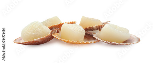 Fresh raw scallops in shells isolated on white