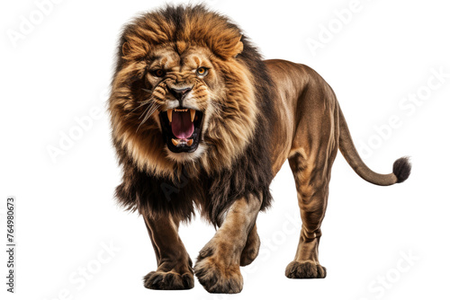 Roaring King of the Jungle.