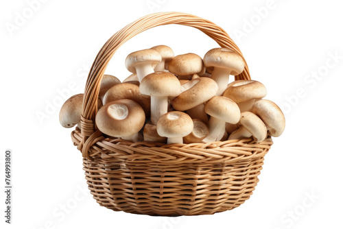 Bountiful Harvest: A Basket of Mushrooms.