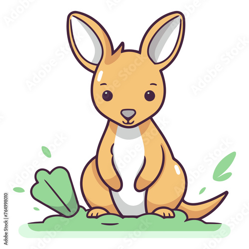 Cute kangaroo sitting on the grass. © Waqar