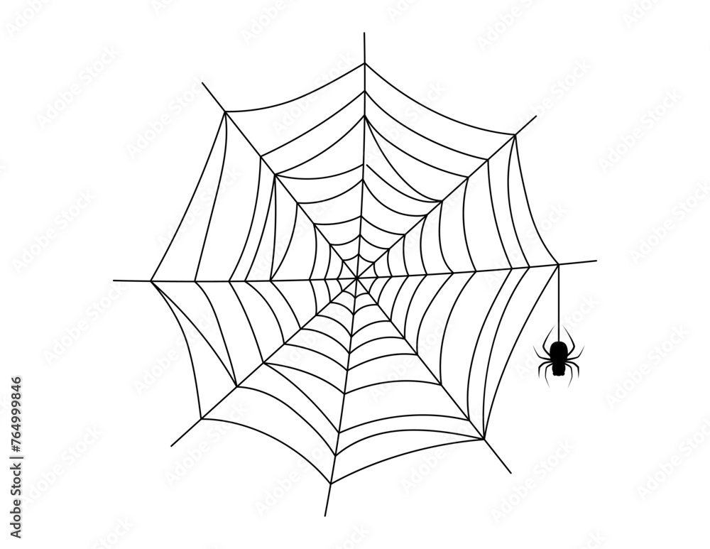Fototapeta premium spider web, halloween spiderweb and spider hanging