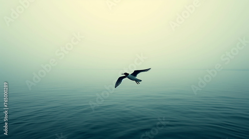 Birds hovering low above the surface of the lake.