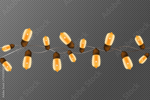 Realistic illustration of a garland on a transparent background. Christmas garland of light bulbs. © Olena