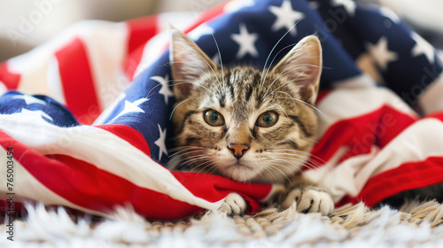 cute Cat wearing American flag. The concept of 4 July Independence Day, american flag, memorial day, american democracy, usa patriotism, victory of us. Ai generated image