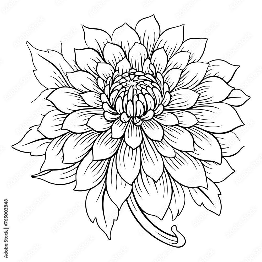 Dahlia flower. Black and white vector illustration for coloring book.