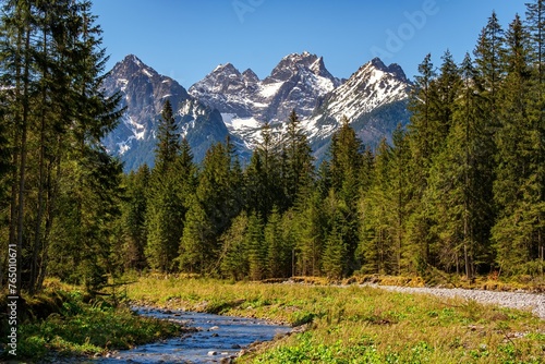 Fototapeta Naklejka Na Ścianę i Meble -  Mountain valley with a stream, forest and peaks in the background. Hiking and exploring the mountains in spring