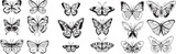 set of plants butterfly vector file design 