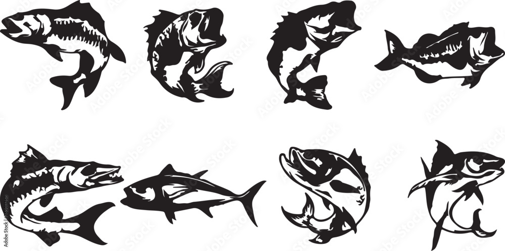 set of black and white cat fish set of black and white cat fish