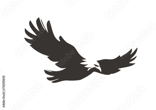 eagle vector illustration