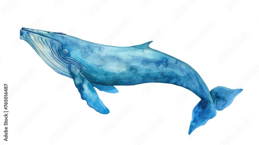 Majestic blue whale, watercolor clipart, gliding through ocean depths, isolate on white background. Captures the serene beauty of marine life. Majestic blue whale, watercolor clipart, gliding through ocean depths, isolate on white background. Captures the serene beauty of marine life.