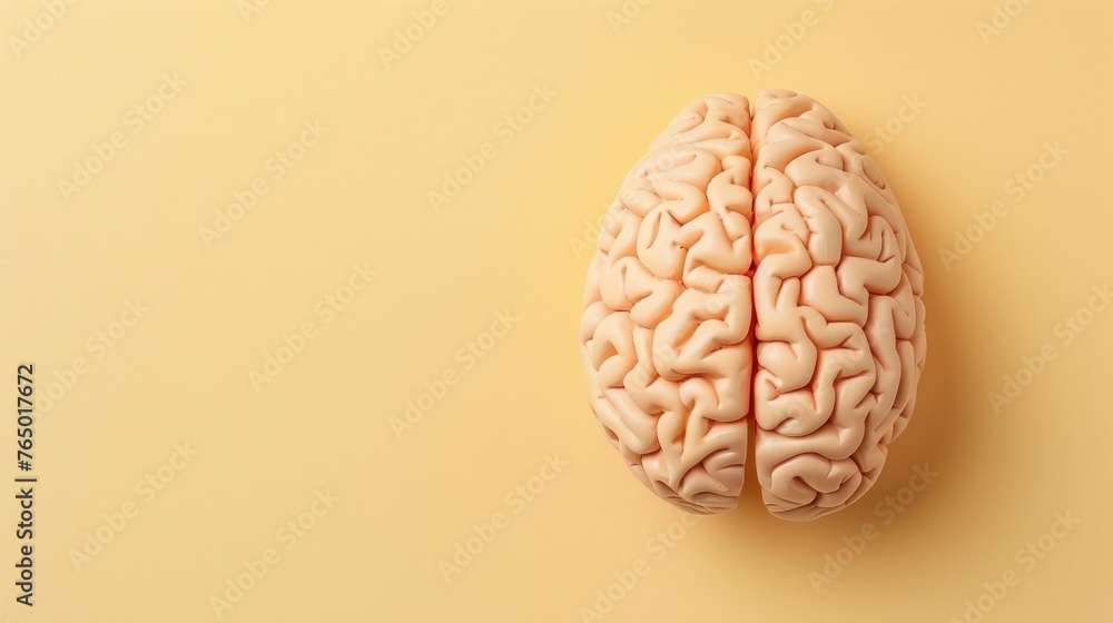 3D human brain model over plain background 3D human brain model over plain background
