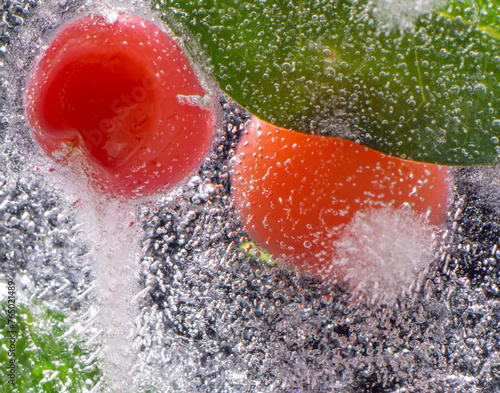 the abstract background of the ice structure, fruits, leaves