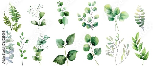 Lush watercolor clipart set of greenery  featuring delicate fern leaves  eucalyptus branches  and mistletoe twigs  isolated on a white background for freshness.