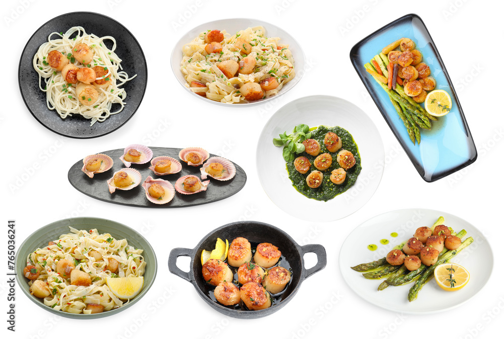 Set of different dishes with scallops isolated on white Set of different dishes with scallops isolated on white