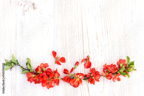 Fototapeta Naklejka Na Ścianę i Meble -  Happy mother's day greeting card template; red flowers of chaenomeles on light wooden background