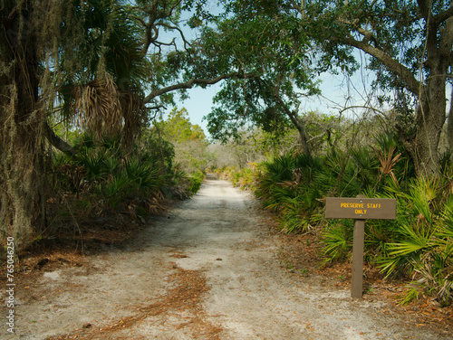 Dirt pathway, dirt, Leading lines down a long straight pathway, Green grass and trees on both sides,  Blue sky in the background, sunny day,  No people, Weedon Island Preserve, St. Petersburg, Florida photo