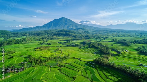Aerial View of Rice Field With Mountain in Background
