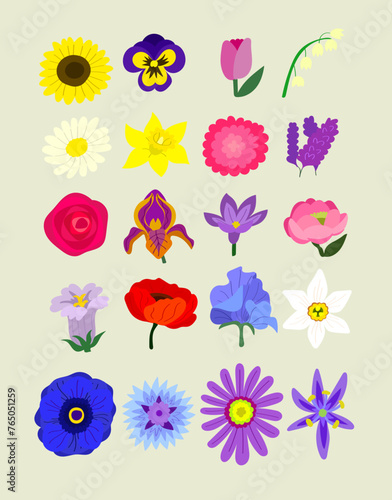 Fleurs du printemps _ Collection 1