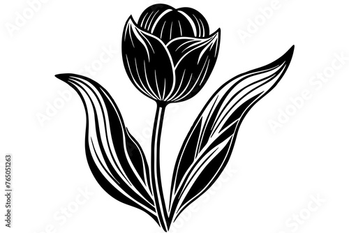 tulip Flower silhouette  vector art illustration