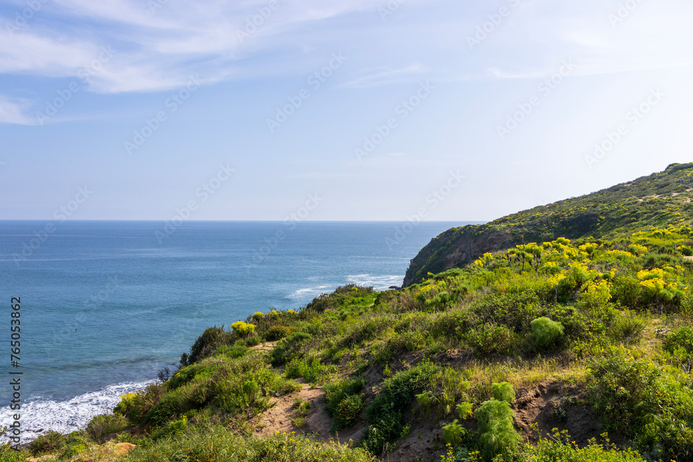 a beautiful spring landscape at Point Dume beach with a hillside covered with yellow flowers and lush green plants, blue ocean water, blue sky and clouds in Malibu California USA