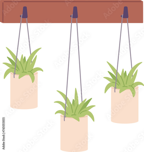 Home greenery hanging on wall. Plants decoration