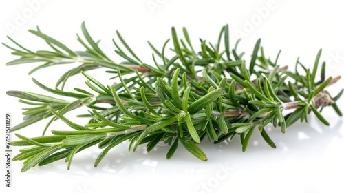 A close-up image of fresh green rosemary sprigs, with a focus on their texture and vibrant color, isolated on a white background.