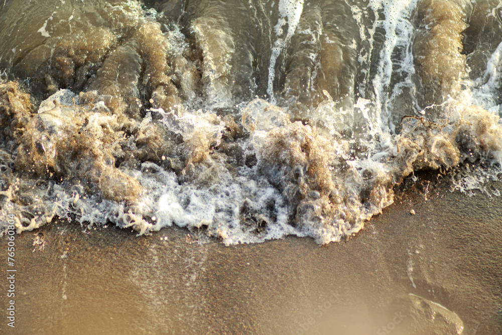 Fototapeta premium wave on the beach