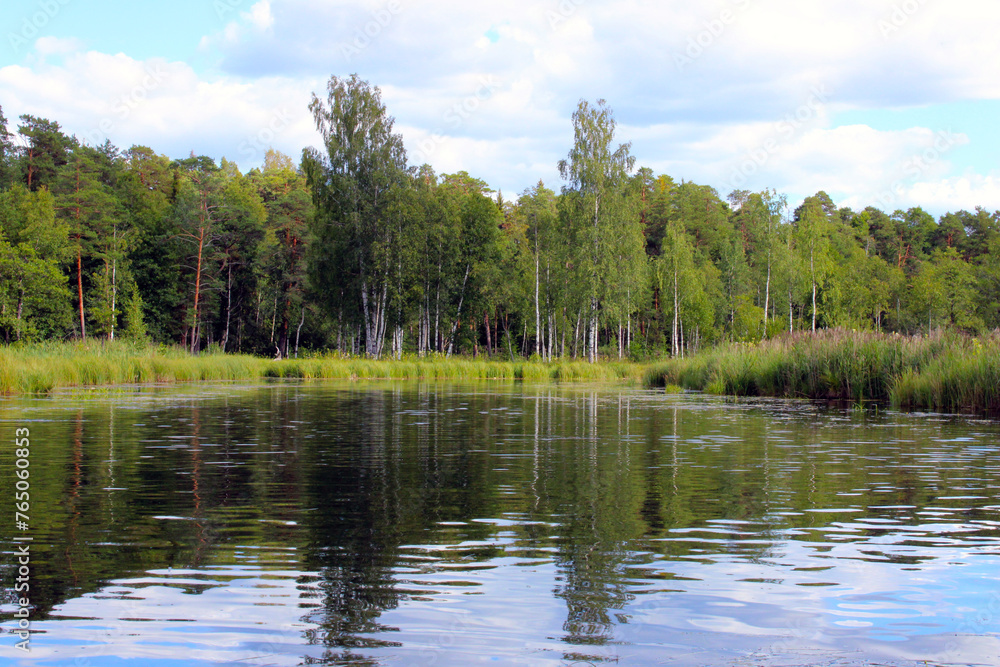 Lake shore, blue sky and green trees around. Lake shore, blue sky and green trees around.