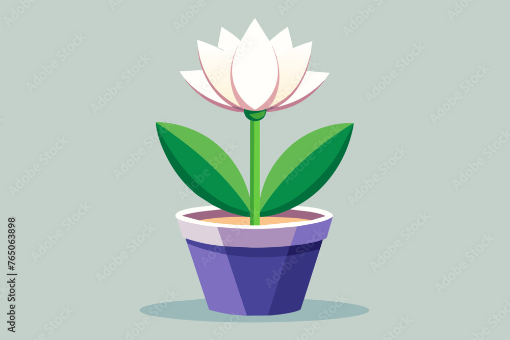   Flower in pot , Real style, white background