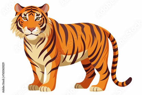 Fototapeta Naklejka Na Ścianę i Meble -  bengal tiger   full body ,   high detail, white background