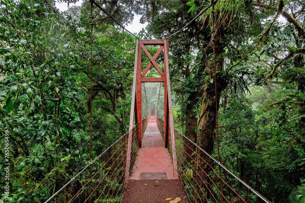 Suspension bridge over the jungle. Costa Rica Central America. Hiking in green tropical jungle.